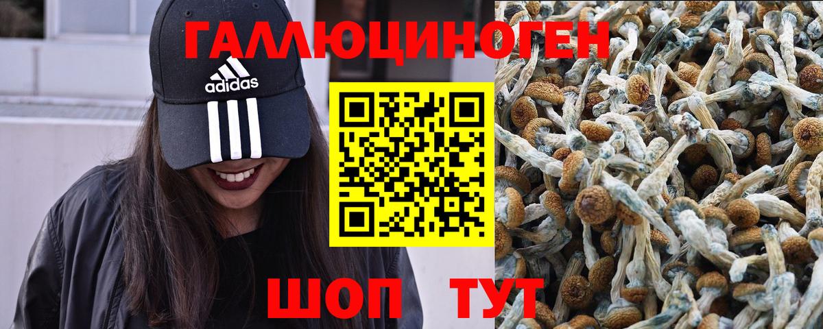 Галлюциногенные грибы прущие грибы Кириши